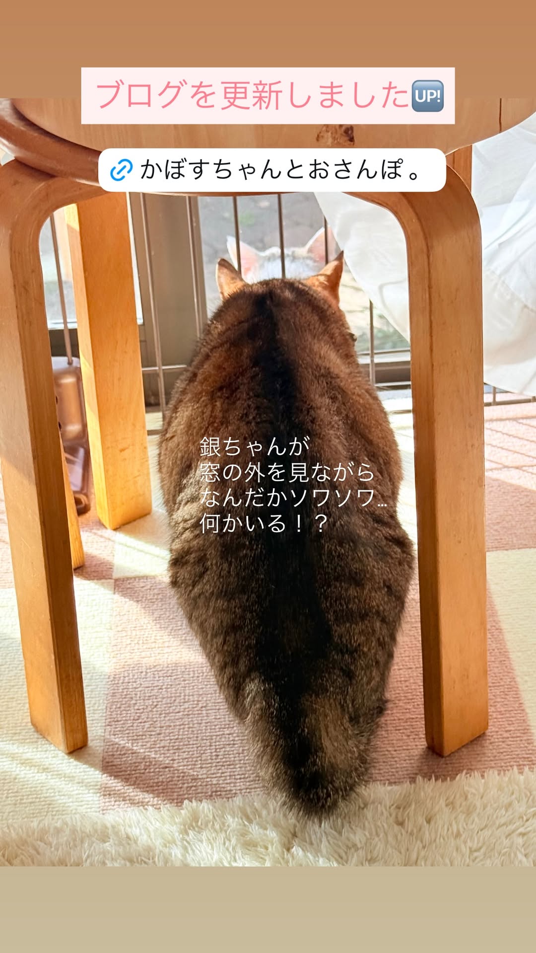 Kabosu-mama's Instagram story about Heart-chan